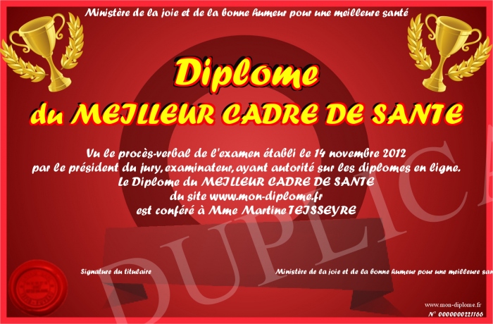 diplome cadre de sante
